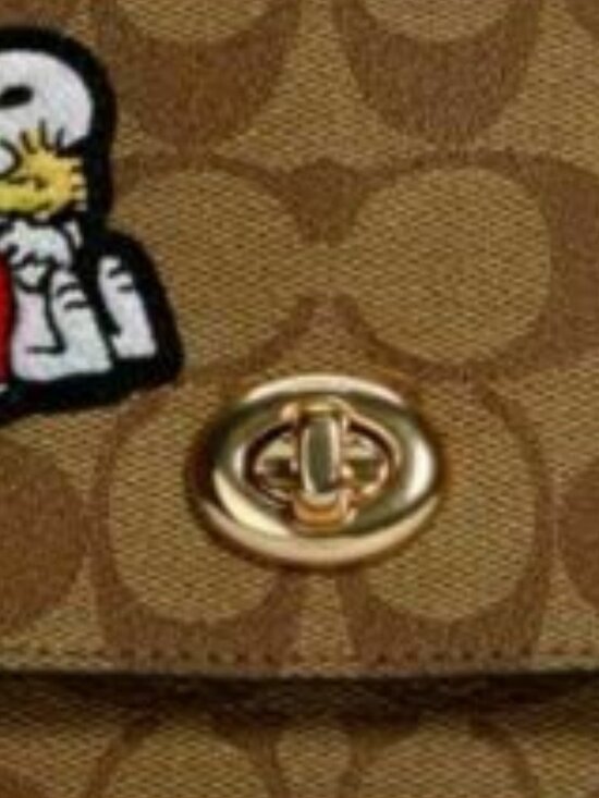 Coach x Peanuts Karlee Crossbody in Signature Canvas with Snoopy - Picture 15 of 16